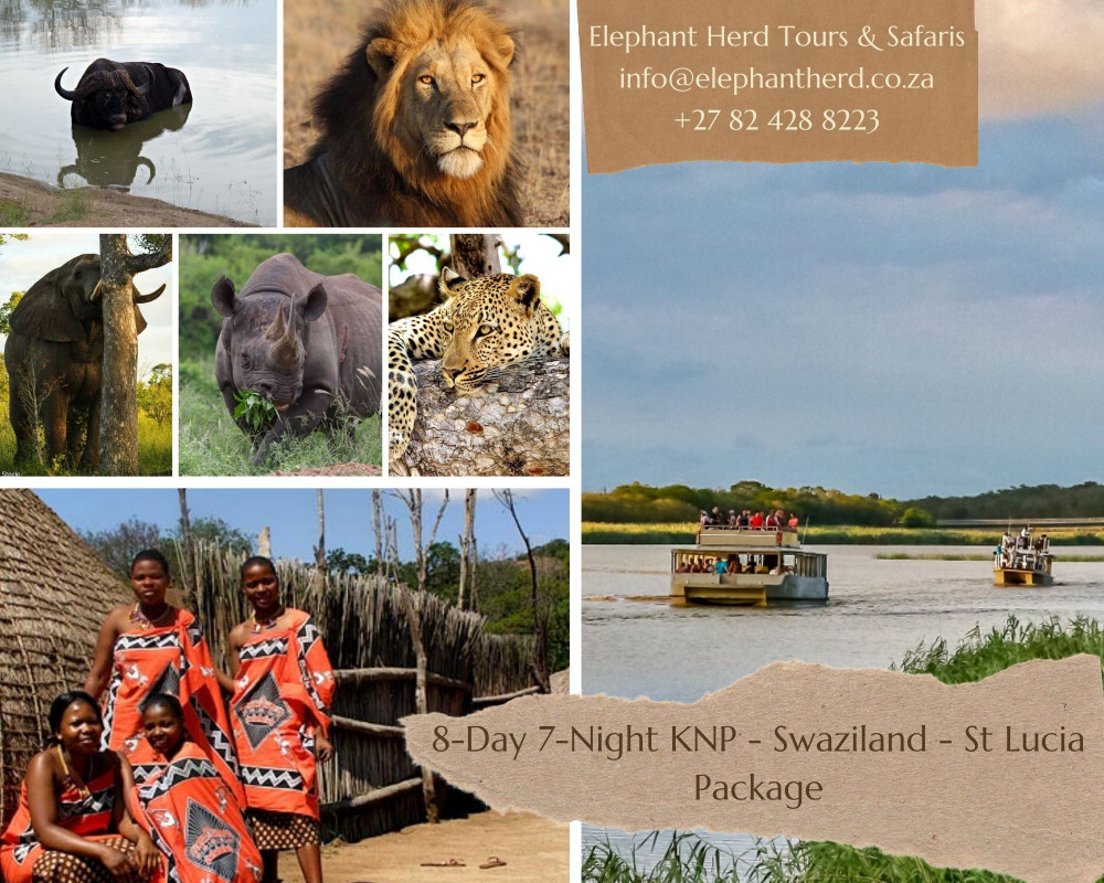 Kruger Park - Eswatini - St Lucia Package