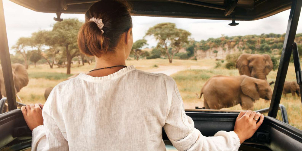 Private Game Drive in Pilanesberg National Park