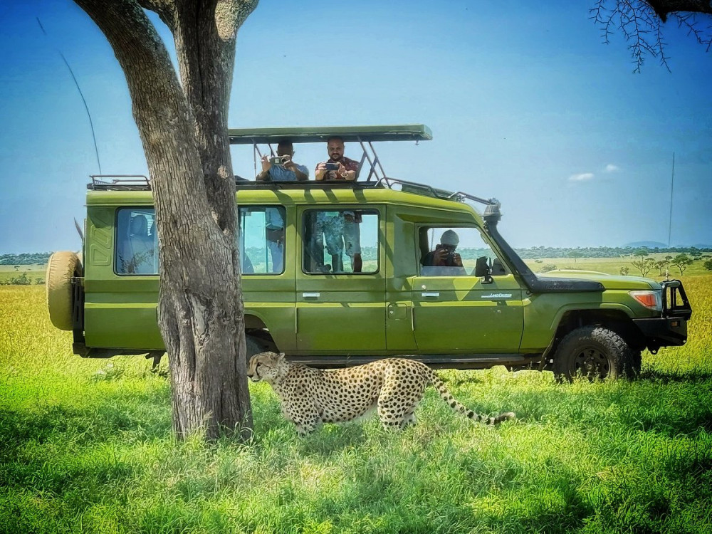 Ultimate Luxury of Tanzania