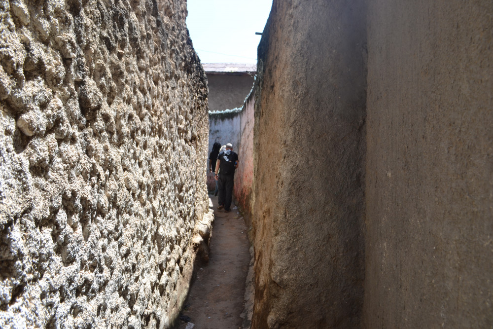 Harar and Awash National Park