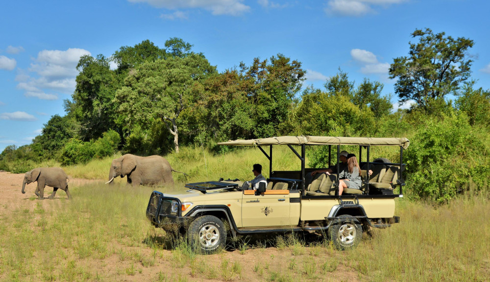 All Inclusive Fly-in Tour to Kruger's Imbali Lodge