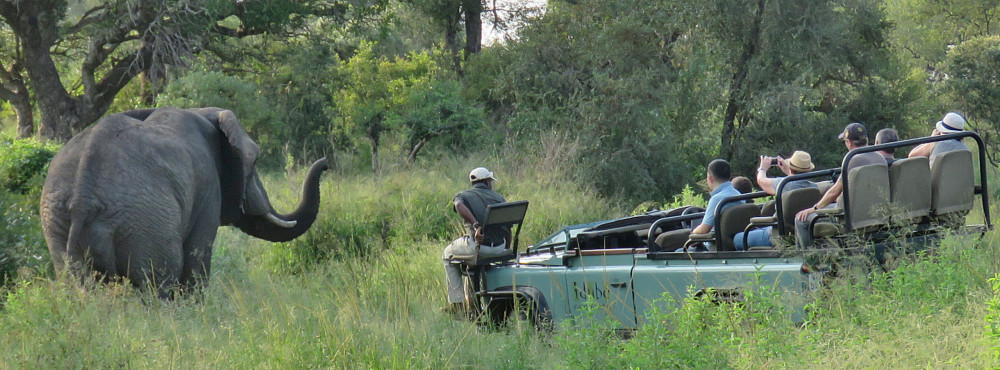 Luxury Kruger Park and Sabi Sand Safari
