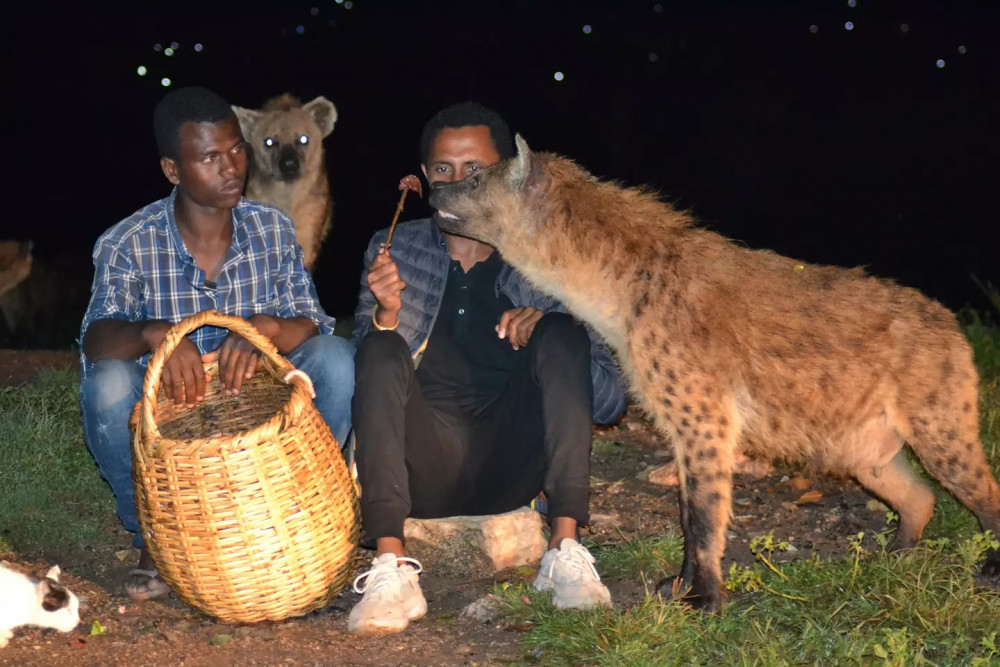 Harar Ethiopia Tour
