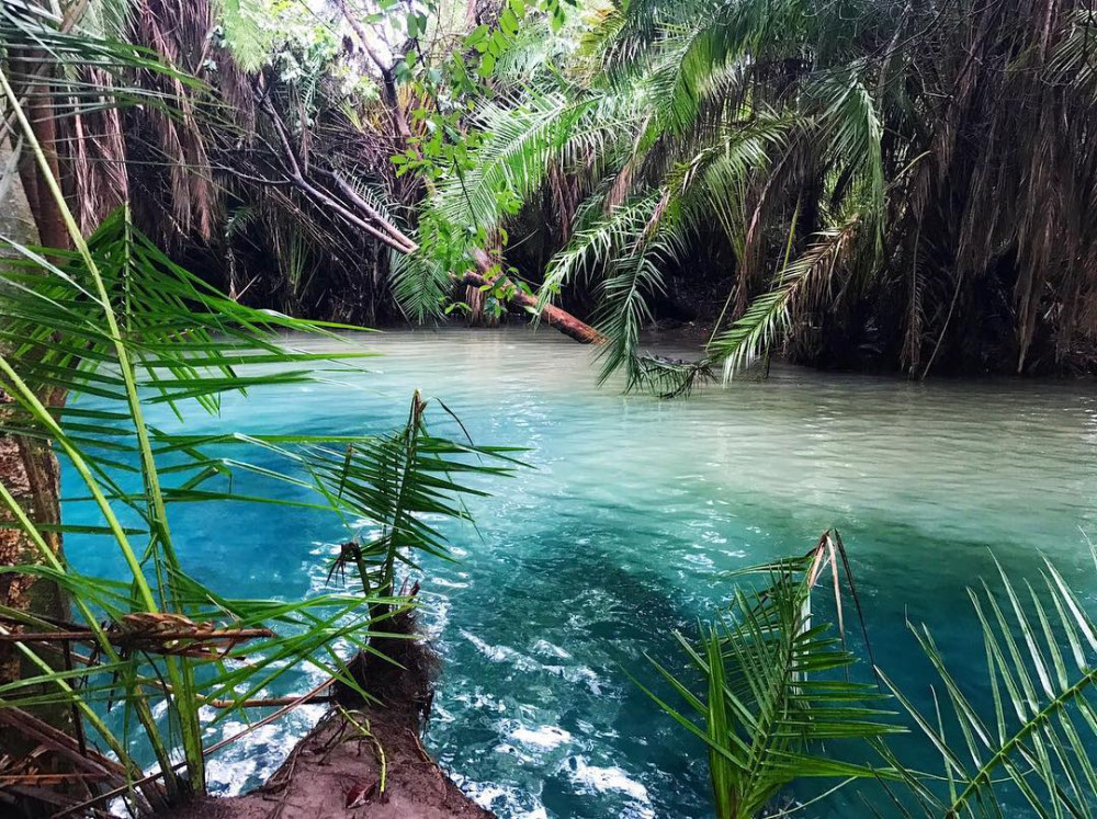 Visit to Kikuletwa Hot Springs