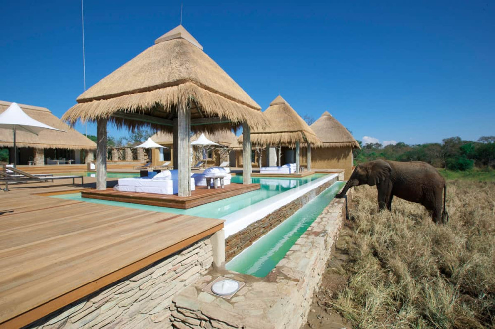 Safari Moon & Kapama Ultimate Luxury Safari Combo