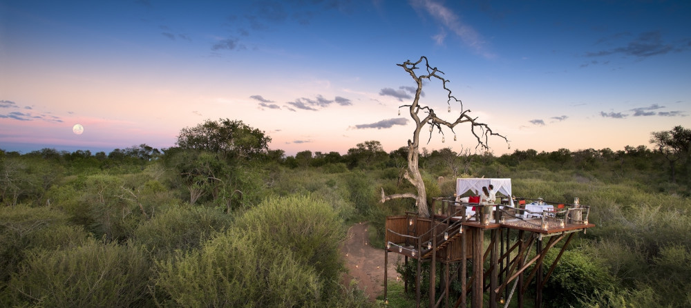Luxury Sabi Sands Safari & Treehouse Sleep-out