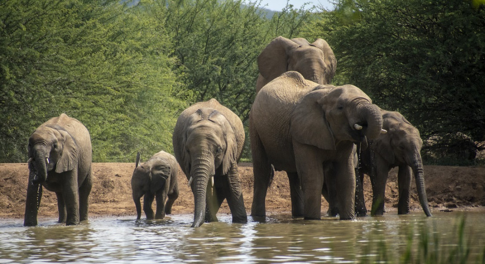 Pilanesberg - Black Rhino Game Lodge