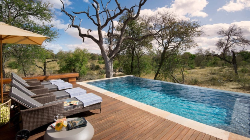 Luxury Timbavati Rockfig Safari Lodge Tour