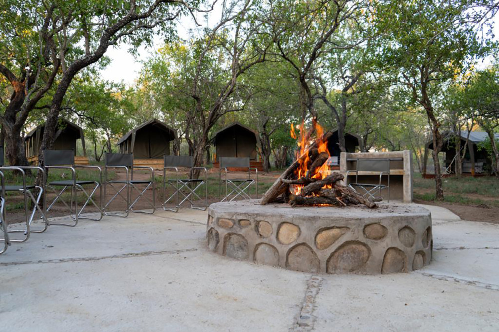 Glamping Safari in Kruger National Park
