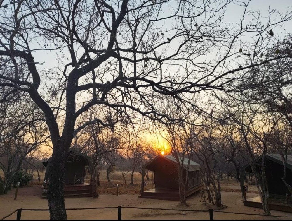Sekekama Tented Camp Safari