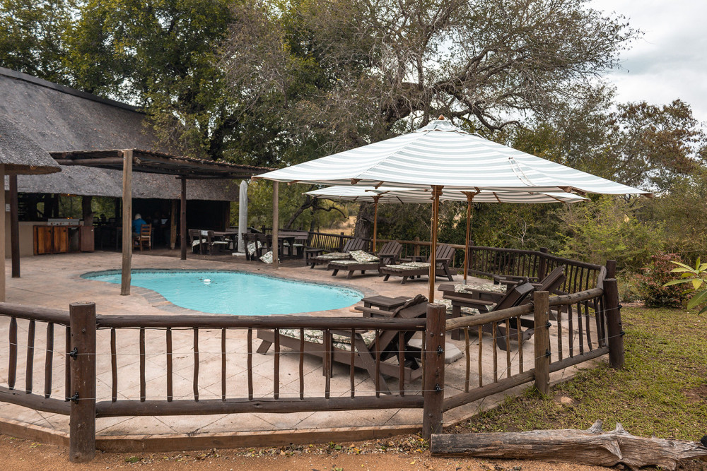 Sabi Sands Umkumbe Bush Lodge Fly-in Safari