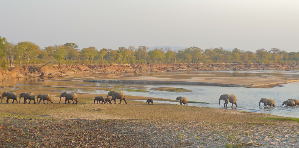 Malawi, Zambia and Mozambique - Trade Route