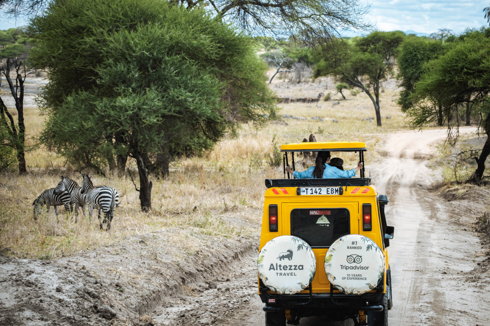 Serengeti Calving Season Private Safari