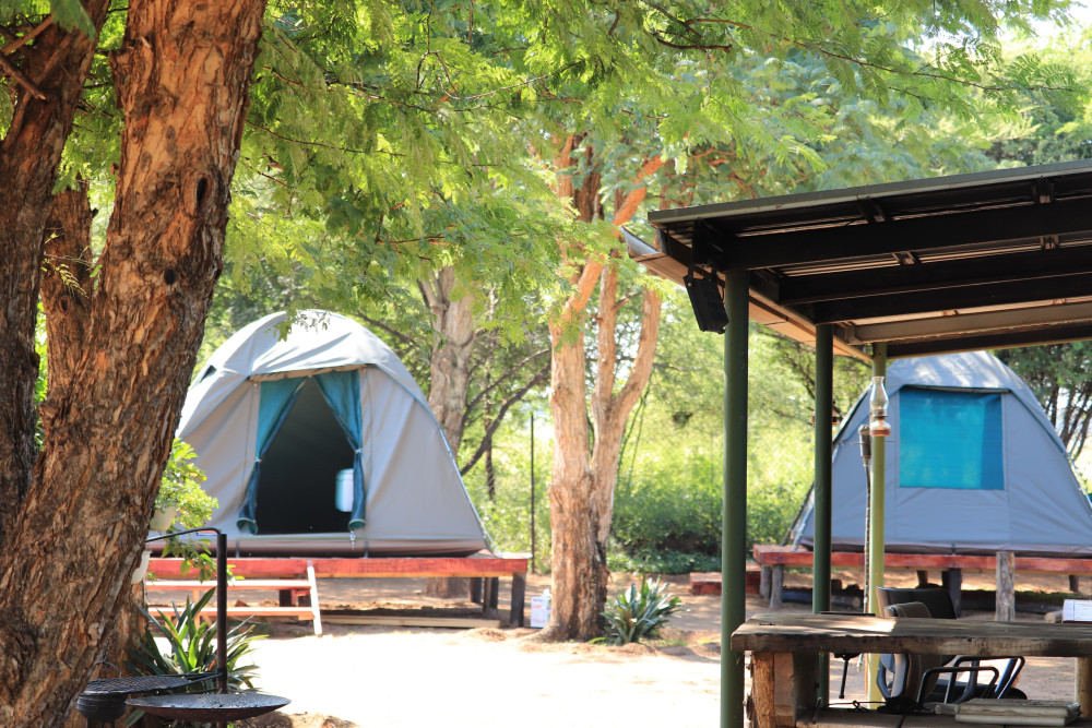 Tlou Tented Safari Camp