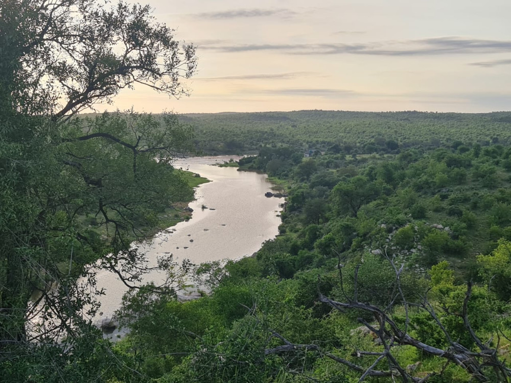 Olifants River Safari