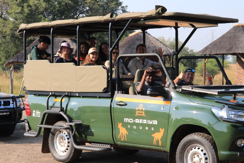 Exclusive Pilanesberg Black Rhino Safari Transfer