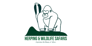 Herping and Wildlife Safaris