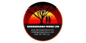 Ngorongoro Tours   Logo