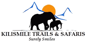KiliSmile Trails and Safaris