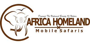 Africa Homeland Mobile Safaris