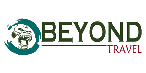 Beyond Travel