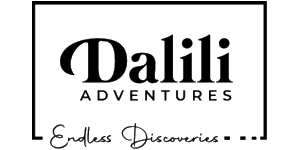 Dalili Adventures Logo