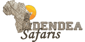 Dendea Safaris Logo