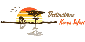 Destinations Kenya Safari