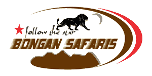 Bongan Safaris
