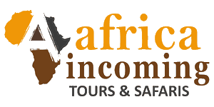 Africa Incoming