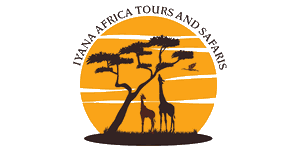 Iyana Africa Tours and Safaris