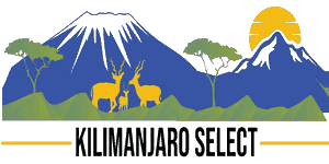 Kilimanjaro Select