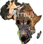 Love Africa Safaris (ZW)