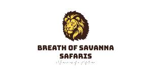 Breath of Savanna Safaris and Events