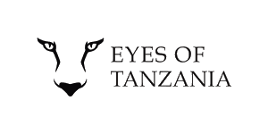 Eyes Of Tanzania Logo