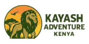 Kayash Adventure 