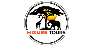 Mizube Tours and Travel  Logo