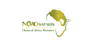 Ngao Africa 