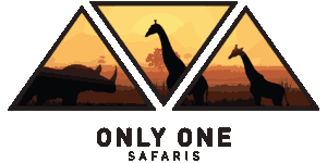 Only One Safaris