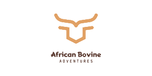 African Bovine Adventures