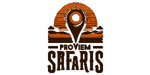 Proviem Safaris