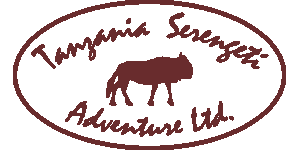 Tanzania Serengeti Adventure Logo