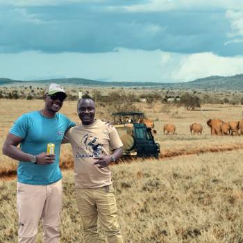 Gamedrive Travel Africa Safari Agency Photo