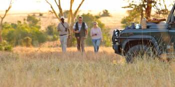 African Vulture Safaris  Photo