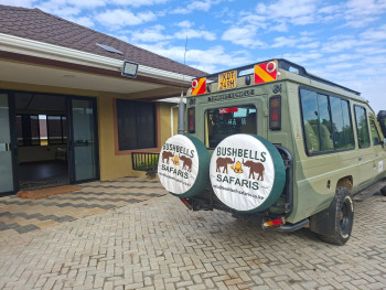 One of our landcruisers on a Safari